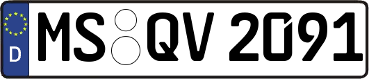 MS-QV2091