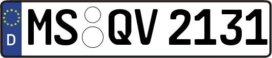 MS-QV2131
