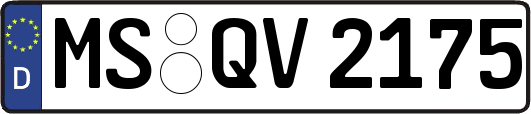 MS-QV2175