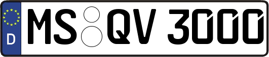 MS-QV3000