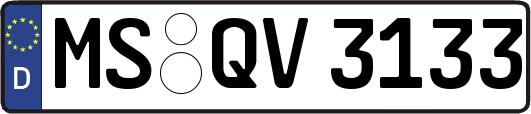 MS-QV3133