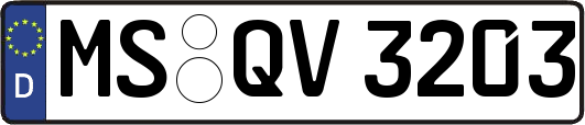 MS-QV3203