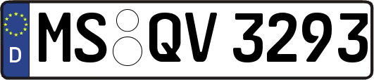 MS-QV3293