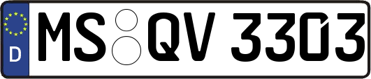 MS-QV3303