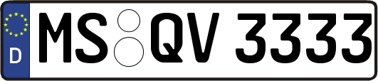 MS-QV3333
