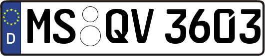 MS-QV3603
