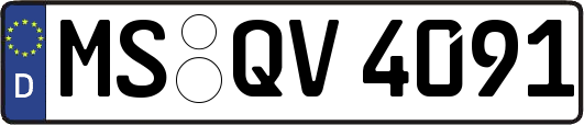 MS-QV4091