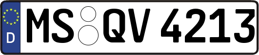 MS-QV4213