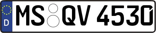 MS-QV4530