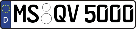 MS-QV5000