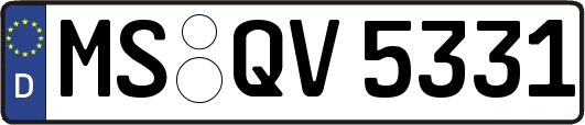 MS-QV5331