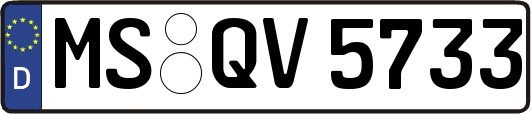 MS-QV5733