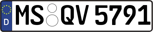 MS-QV5791
