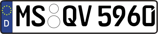 MS-QV5960