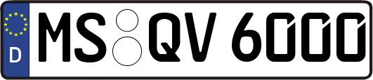 MS-QV6000