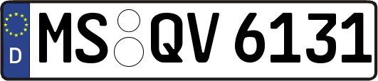 MS-QV6131