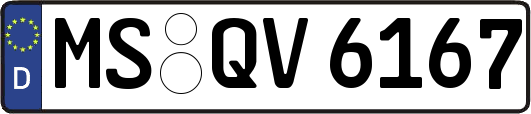 MS-QV6167