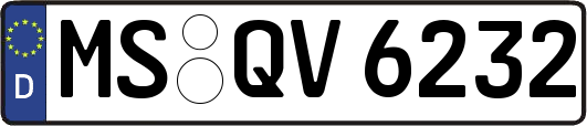 MS-QV6232