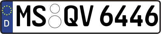 MS-QV6446