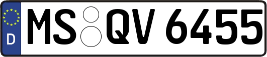 MS-QV6455