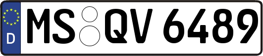 MS-QV6489