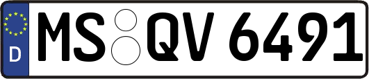 MS-QV6491