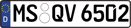 MS-QV6502