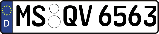 MS-QV6563