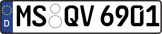 MS-QV6901
