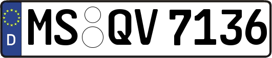 MS-QV7136