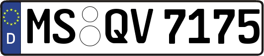 MS-QV7175