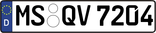 MS-QV7204