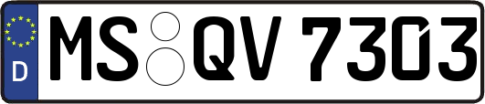MS-QV7303