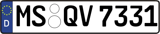 MS-QV7331