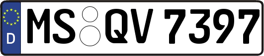 MS-QV7397