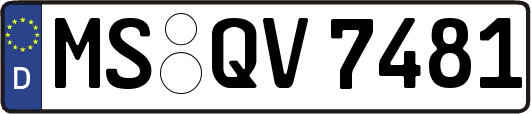 MS-QV7481