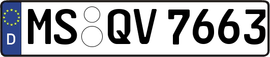 MS-QV7663