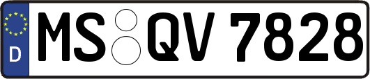 MS-QV7828