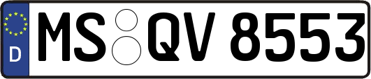 MS-QV8553