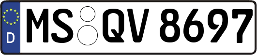 MS-QV8697