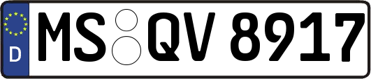 MS-QV8917