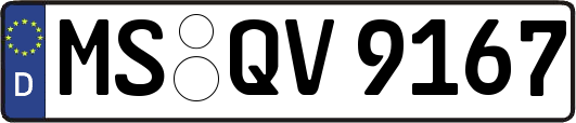 MS-QV9167