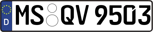 MS-QV9503