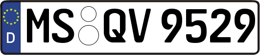 MS-QV9529