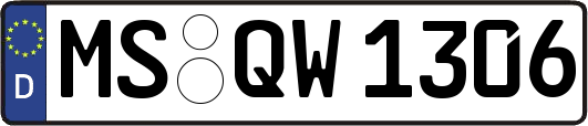 MS-QW1306