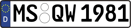 MS-QW1981