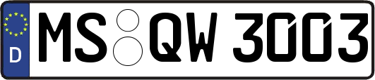 MS-QW3003
