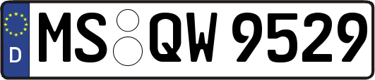MS-QW9529