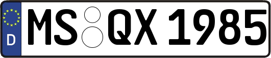 MS-QX1985