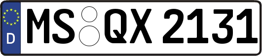 MS-QX2131